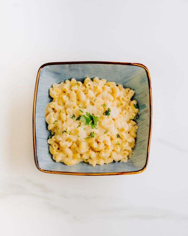 A square bowl of creamy pasta in a pale cheese sauce with chopped herbs